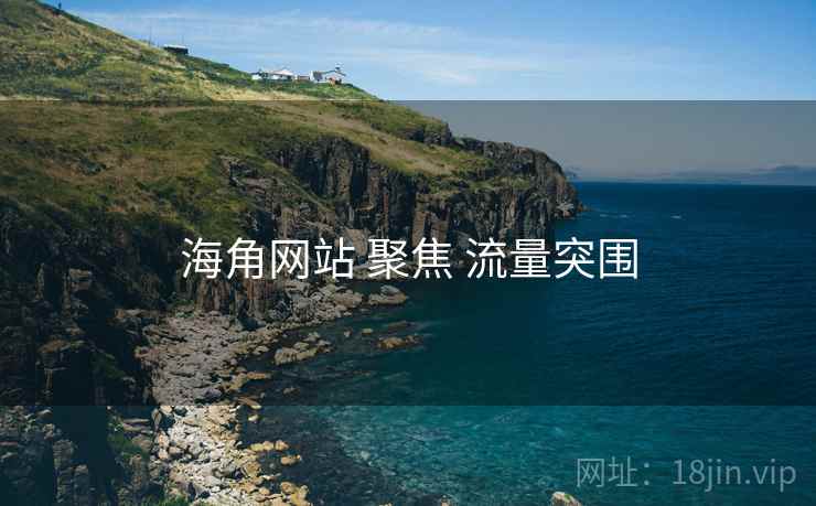 海角网站 聚焦 流量突围