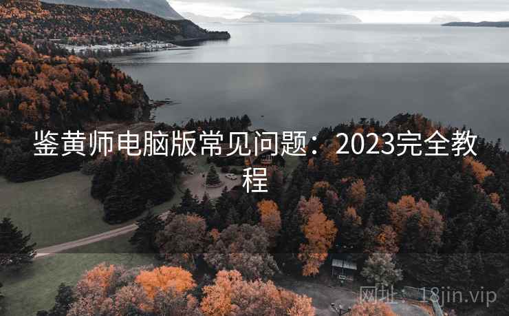鉴黄师电脑版常见问题:2023完全教程