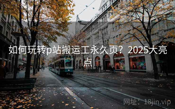 如何玩转p站搬运工永久页?2025大亮点