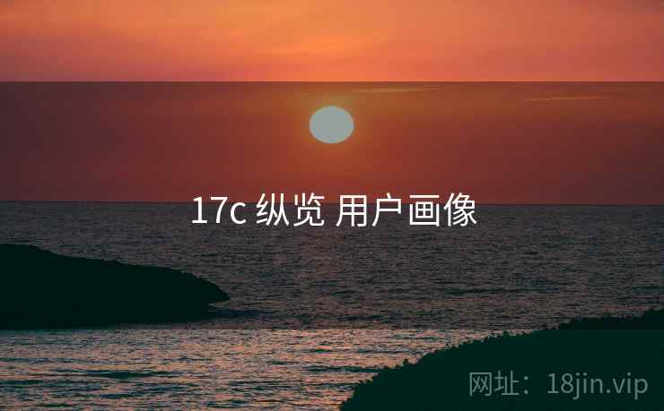 17c 纵览 用户画像