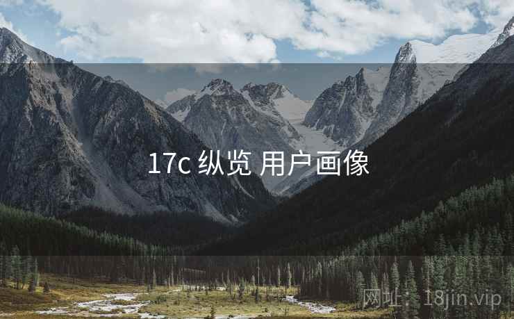 17c 纵览 用户画像