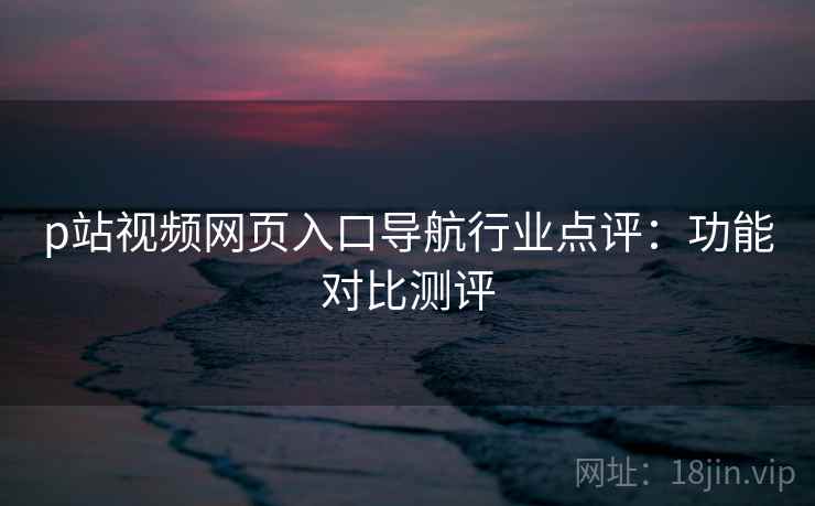 p站视频网页入口导航行业点评：功能对比测评