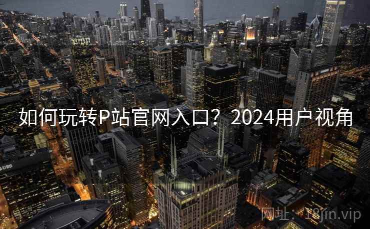 如何玩转P站官网入口?2024用户视角