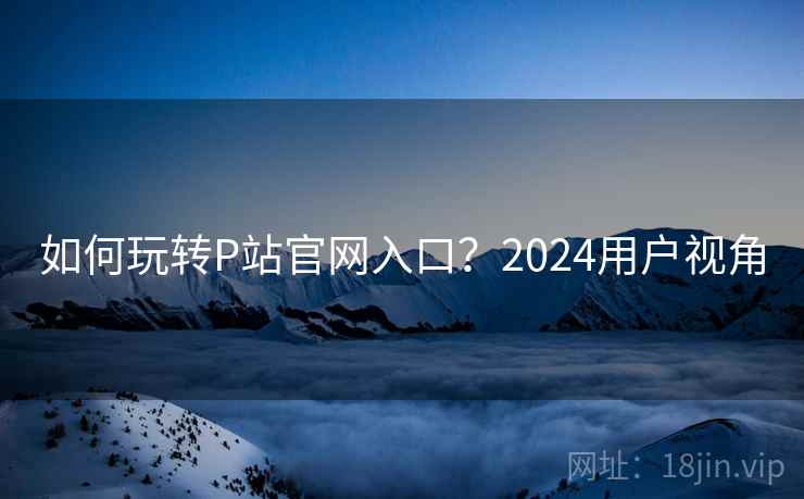 如何玩转P站官网入口？2024用户视角