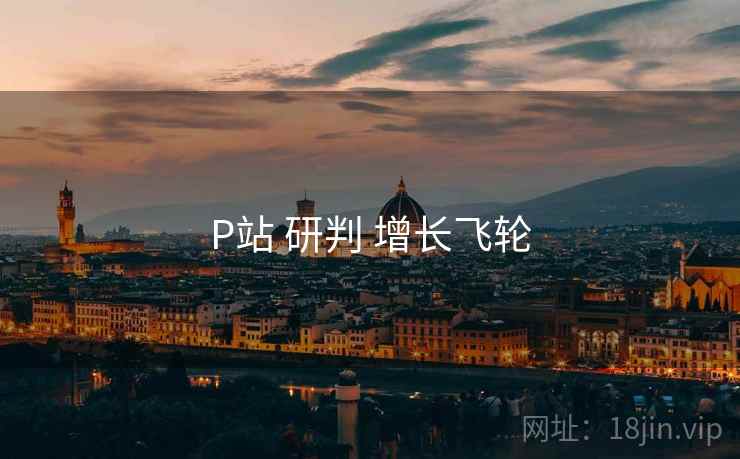 P站 研判 增长飞轮