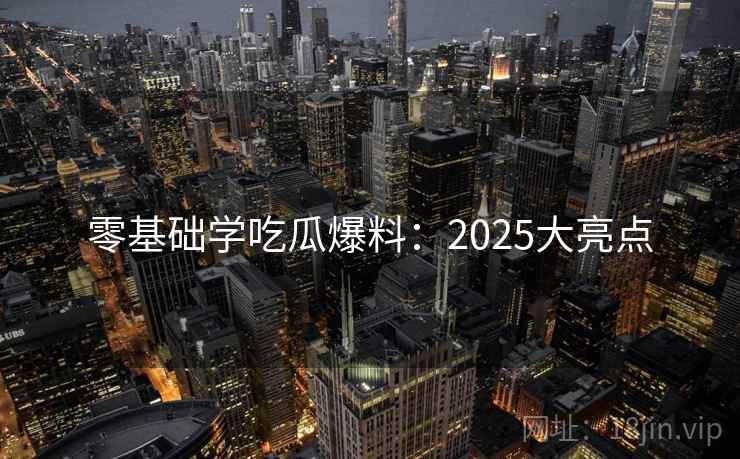 零基础学吃瓜爆料：2025大亮点