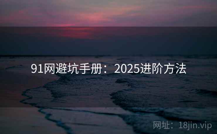 91网避坑手册:2025进阶方法