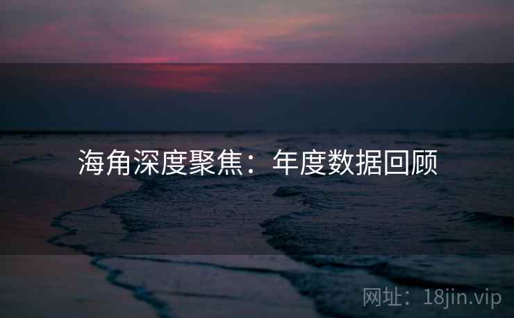 海角深度聚焦:年度数据回顾