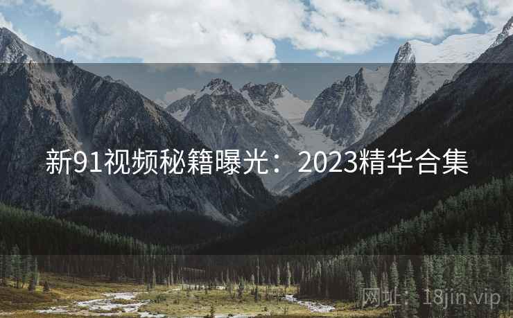新91视频秘籍曝光：2023精华合集