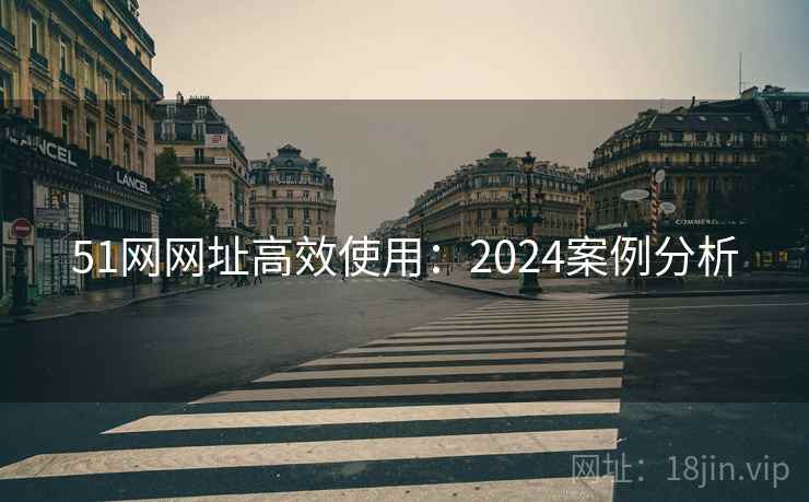 51网网址高效使用:2024案例分析