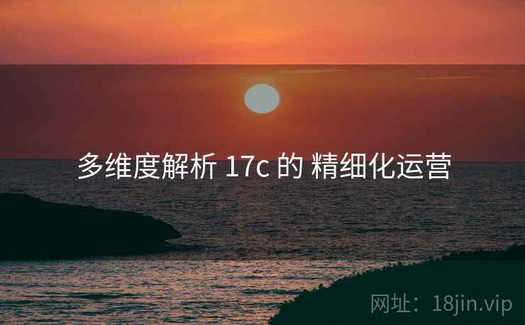 多维度解析 17c 的 精细化运营