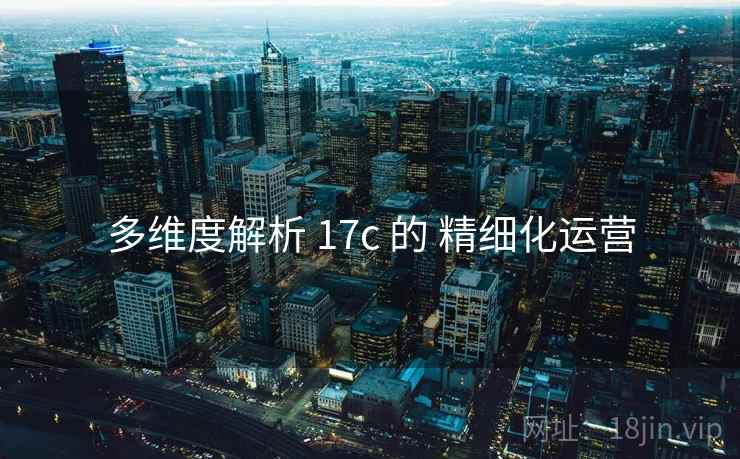 多维度解析 17c 的 精细化运营
