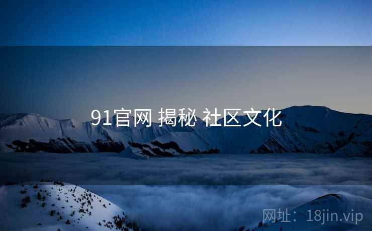 91官网 揭秘 社区文化