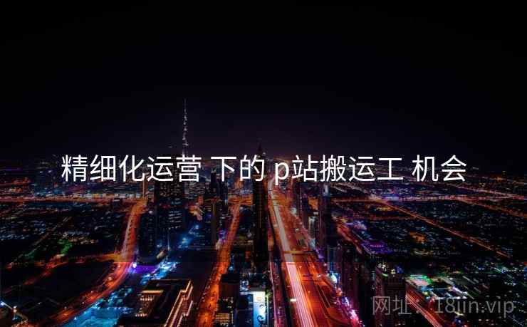 精细化运营 下的 p站搬运工 机会
